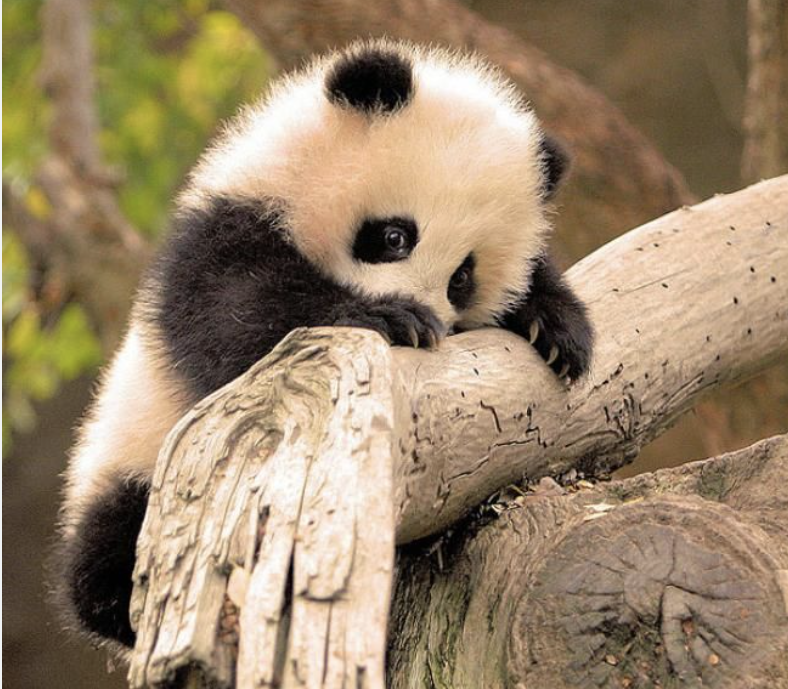 Whiteboard diagram of the site architecture